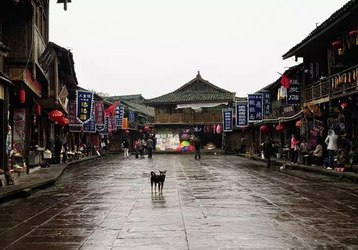 【活动预告】龙腾六盘·精彩固原——宁夏固原博物馆新春系列活动